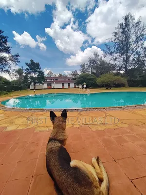 6bdrm Mansion in Karen for rent