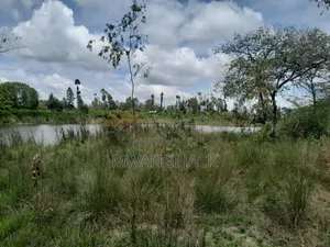 604 Acre Makuyu