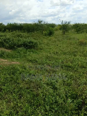 2.5 Acres for Sale at Sosobora With Ready Title Deed
