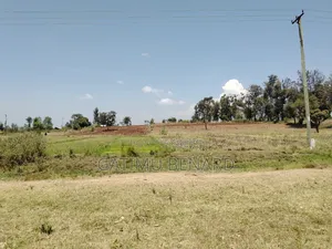 3.5acres for Sale in Kirinyaga Mwea Nyangati Alongside the Tarmac