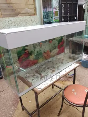 Custom-Built Glass Aquarium Tanks — Any Size, Any Depth