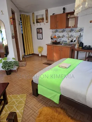 Safe, Clean Cozy Studio BNB TRM Drive Roysambu Thika Road Nairobi