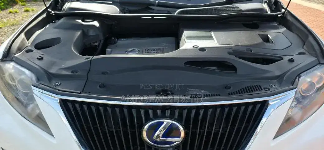 Lexus RX 2010 White