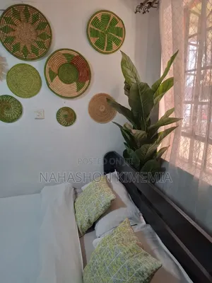 Affordable Comfort Premium Studio BNB TRM Drive Roysambu Thika Road