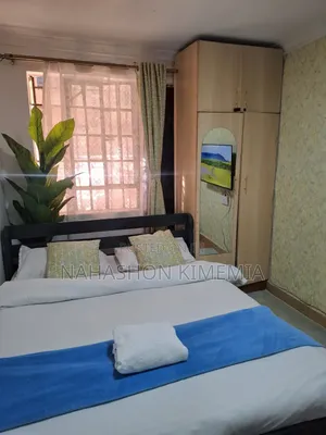Affordable Comfort Premium Studio BNB TRM Drive Roysambu Thika Road
