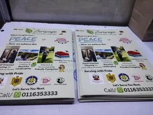 Fliers / Posters/ Brochures /Stickers