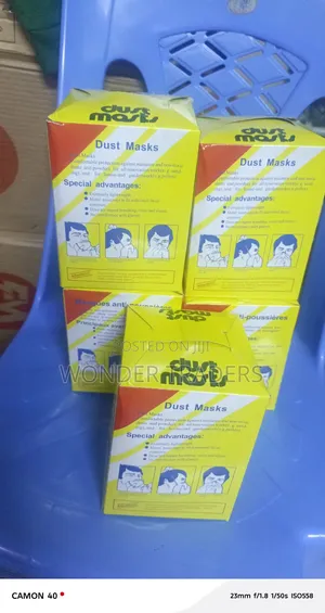 Disposable Dust Masks – 50 Pack