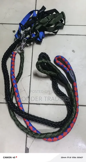 Nylon Dog Harness and Leash