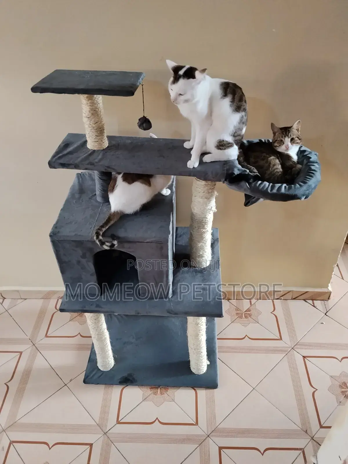 Cat Trees and Cat Towers, Scratcher
