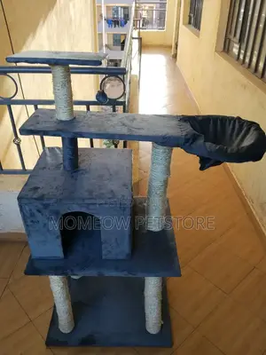 Cat Trees and Cat Towers, Scratcher