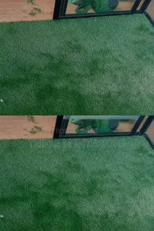The Beauty of Premium Turf Grass