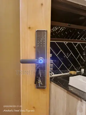 Smart Lock Tuya Wifi Controlled Password Fingerprint Cards