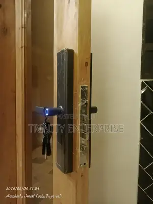 Smart Lock Tuya Wifi Fingerprint Smartlock Digital Password Cards