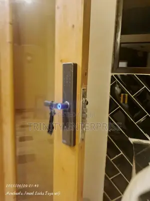 Tuya Wifi Smart Door Lock