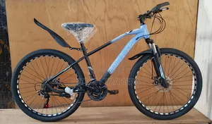Mountain Bike Size 24