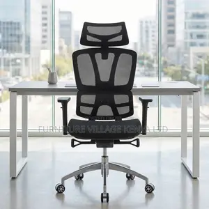 Orthopedic Adjustable Home Chair.