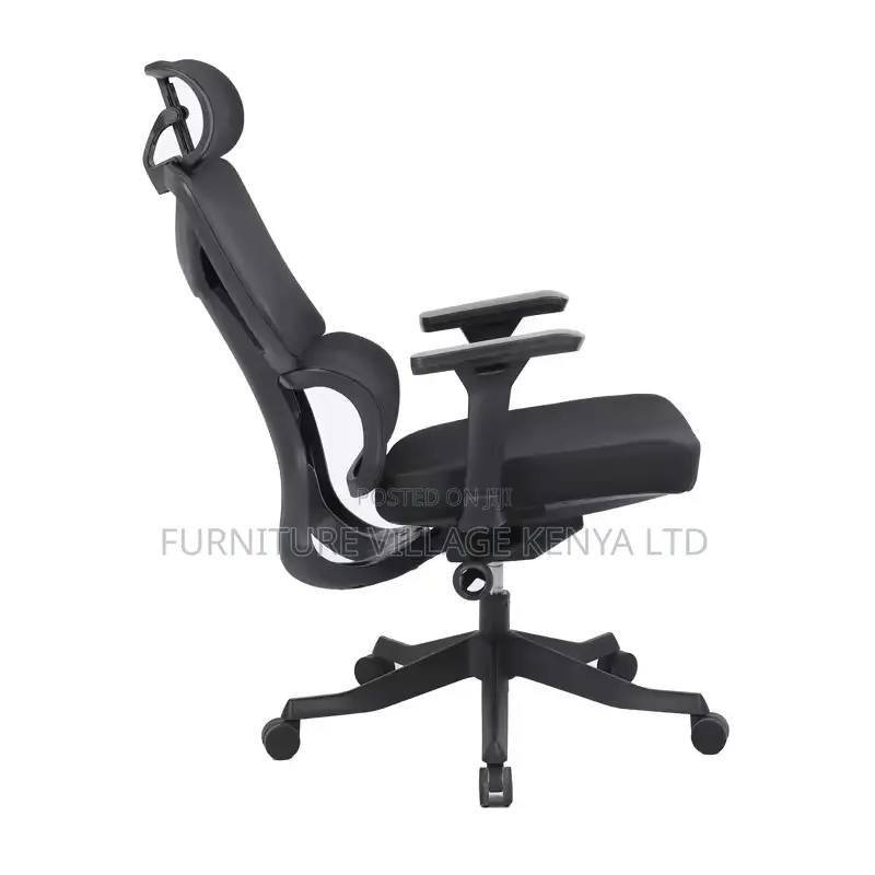 Orthopedic Adjustable Home Chair.