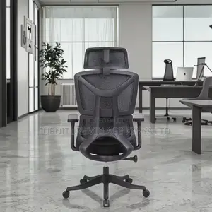 Orthopedic Adjustable Home Chair.