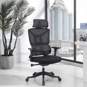 Orthopedic Adjustable Home Chair.