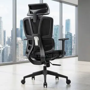 Orthopedic Adjustable Home Chair.