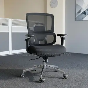 Modern Orthopedic Mesh Chair.