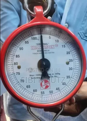 100kg Manual Weighing Scale/Hanging Scale