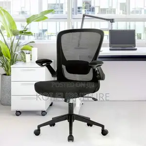 Offiice Chair : Ergopro Flex: Mid-Back Mesh Office Chair