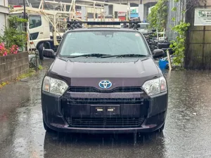 Toyota Succeed 2019 Purple