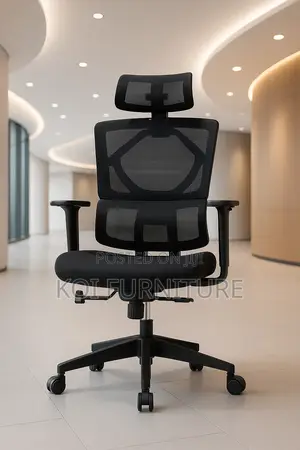 Office Chair : Primy Ergonomic Office Chairs
