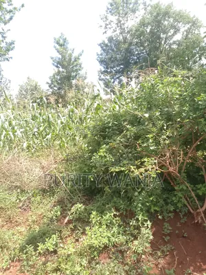 1acre for Sale at Muranga Kambirwa