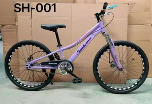 Mountain Bike 24"