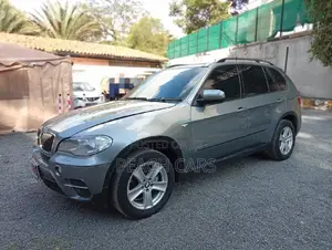 BMW X5 2010 Green