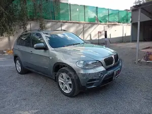 BMW X5 2010 Green