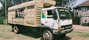 Professional Waste Management Disposal Services