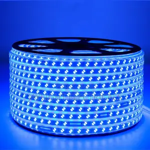 Double Row SMD 5630 120 Led Strip Lights Blue and High Brightness Ac