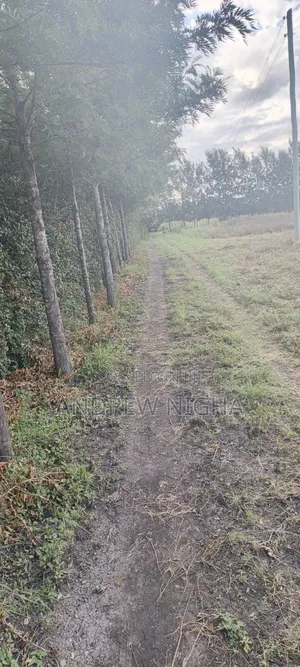 Land 5 Acres