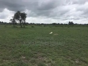 1/4 Acre on Sale in Isinya
