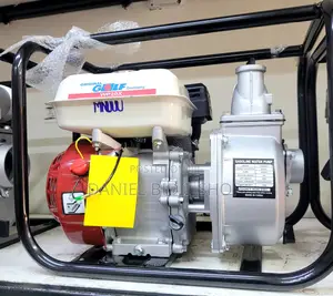 Wp20x 2inch Original Golf Germany Petrol Water Pump