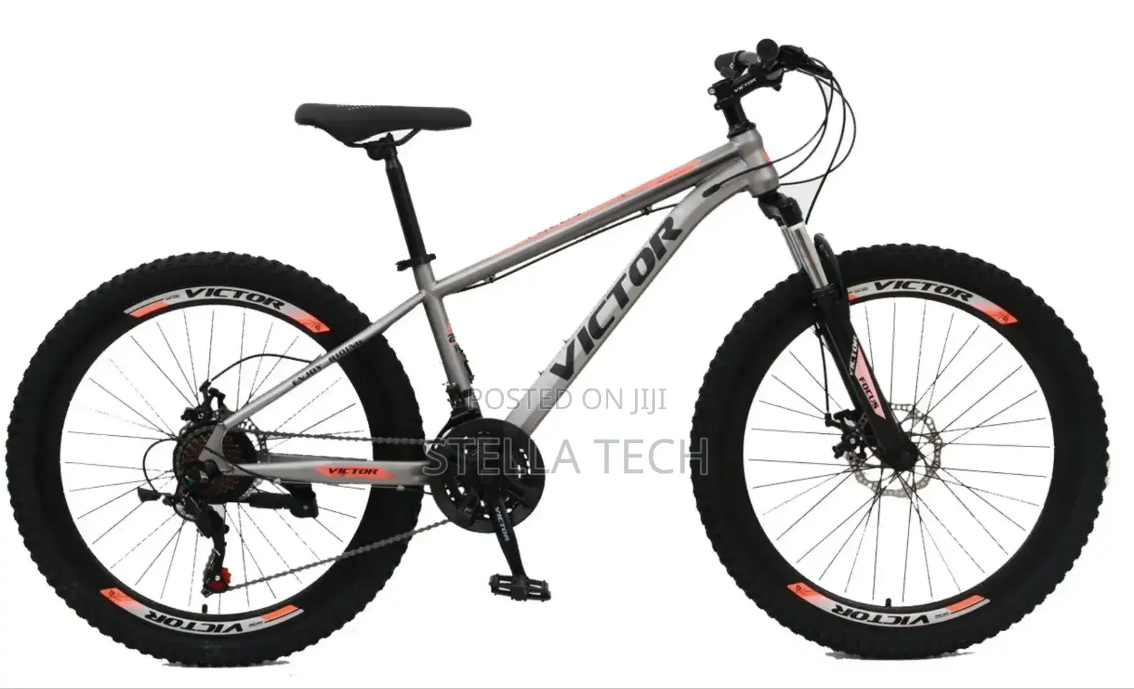 Size 26 Victory Bicycle