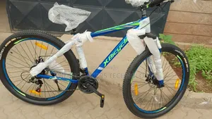 Xbicycle Mountain Bike With a 29-Inch Frame and 24-Speed Gears