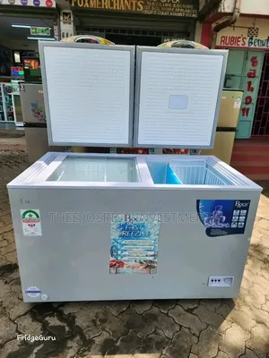380 Litres Roch Deep Freezer Double Door