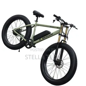 Size 26 Made in India Adult Original Neelam Bicycle