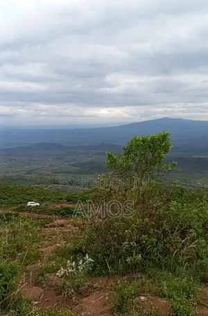 Ndeiya 10 Acres Quick Sale Ideal for Plots Subdivision