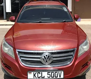 Volkswagen Tiguan 2010