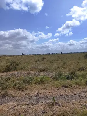 Prime Corner Commercial Plot in Daykio Kantafu