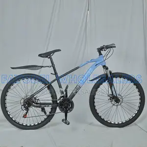 Flexibike Mountain Bike 26 Adult With 21 Speed