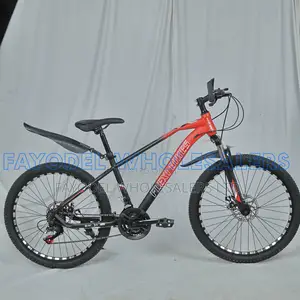 Flexibikes Size 26 With Mechanical Disc Brakes