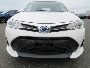 Toyota Corolla Fielder 2019 White