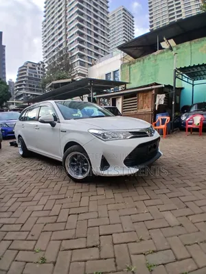 Toyota Corolla Fielder 2019 White