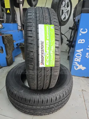 205/65r15 B/Stone Ecopia Tire